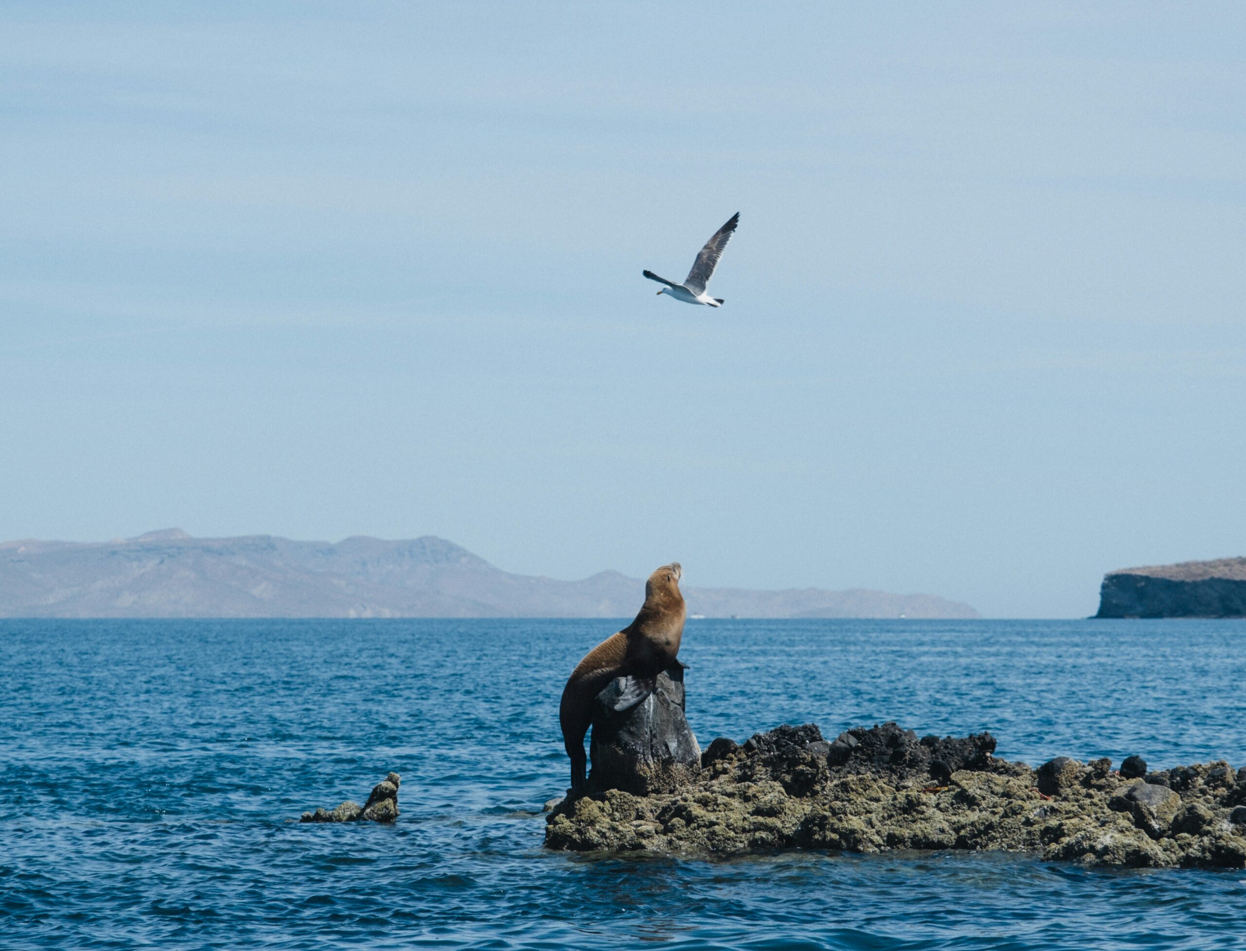 La Ventana.                   Baja California Sur. 